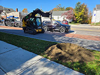 Prepping for tree planting