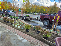 Landscapers onsite on Main