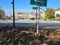 Plantings at corner of Hayden Rowe