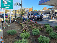 Planting at Hopkinton Gas 2